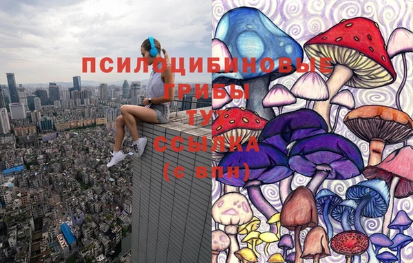бутират Надым