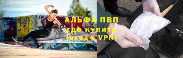 гидра Михайловка
