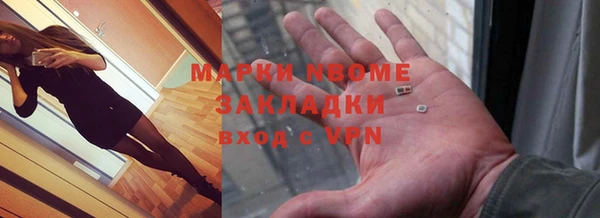 гидра Михайловка
