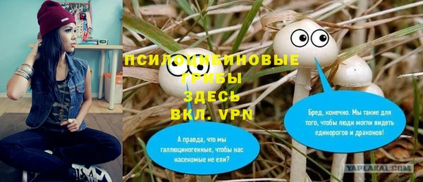 бутират Надым